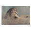 Majestic Beauty - Wrapped Canvas Print-1746161819
