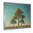 Silver Single Picture Framed