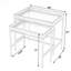 Lenny 2 Piece Glass Nesting Tables