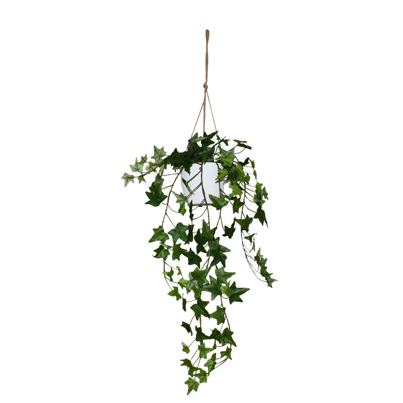 Plante de lierre artificiel de 66 cm en pot de céramique, plante d'intérieur suspendue, Green