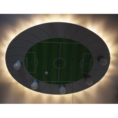 Donaldson Flush Mount