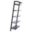 Alexzander Ladder Bookcase-1064596162-982611273
