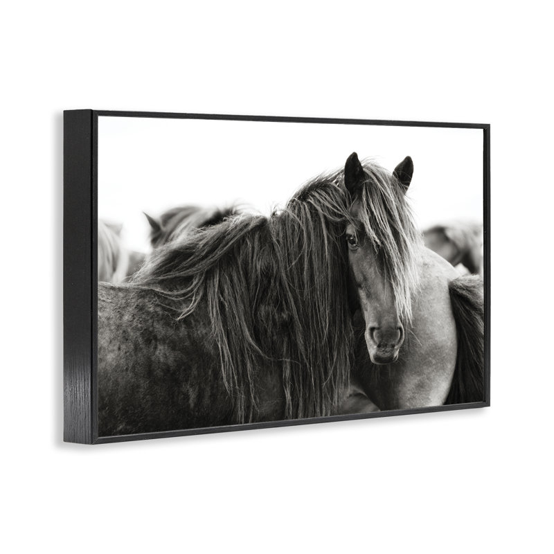 «Gazing Horse parmi le troupeau», estampe numérique, conception de PHBurchett, H 12 po x l 18 po, Giclée encadrée noir minuit