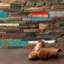 Driftwood 12x24 Textured Reclaimed Wood Mosaic Tile-1505636752