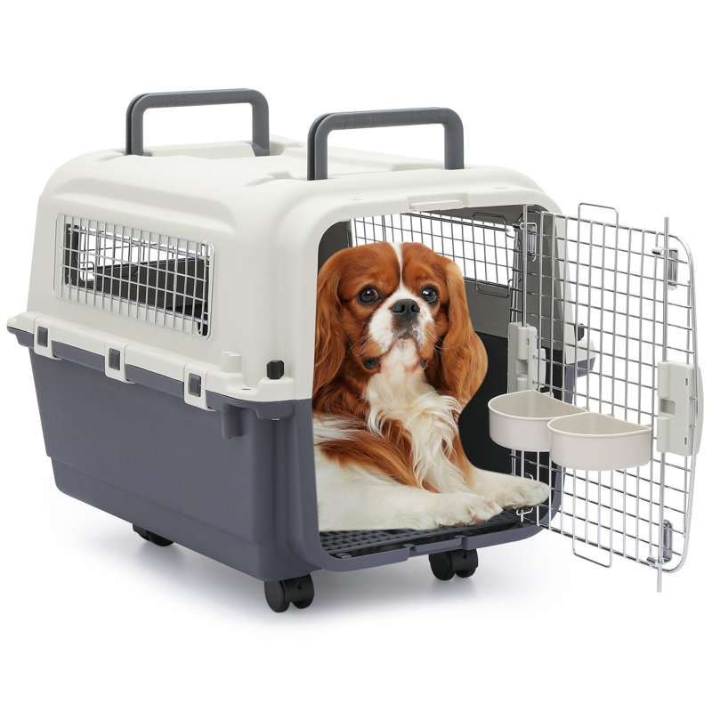 Cage de transport pour animal de compagnie, Petit (H 20,5 po x l 25,5 po x P 19 po)