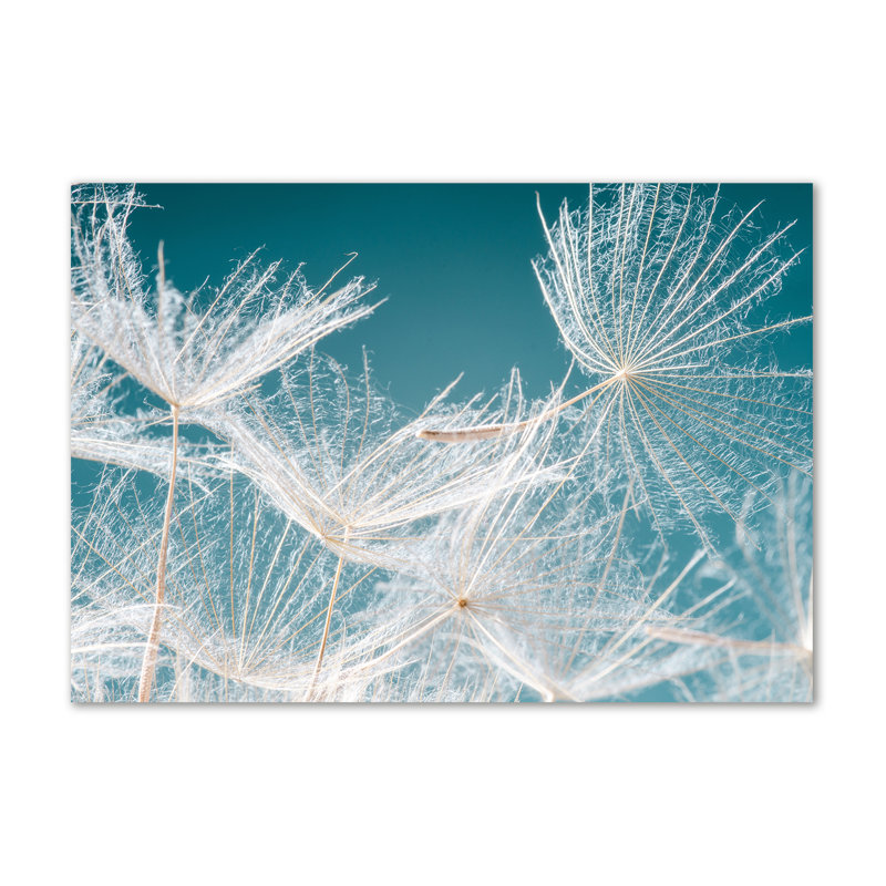 Dandelion Seeds - Wrapped Canvas Print