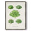 Reproduction encadrée de fruits et légumes VI - bois massif-2133343366
