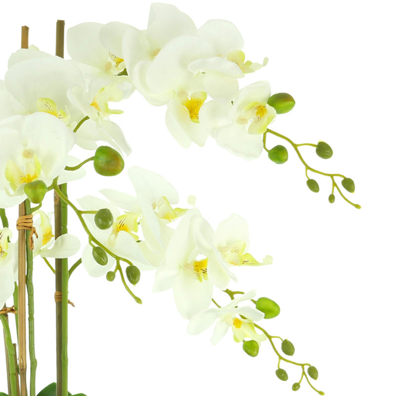 Traditional Orchid Floral Arrangement in a Decorative Ceramic Vase