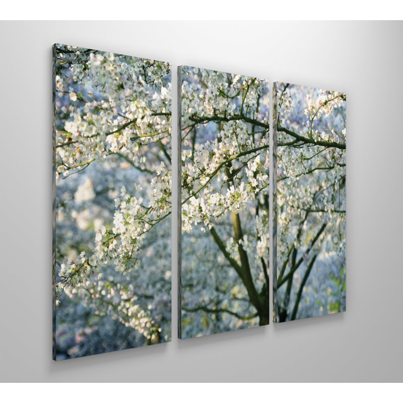 " In All Your Glory " 3 - Pieces, 40" H x 60" W x 1.5" D