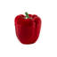 Pepper Decorative Bowl-854743469-887801203