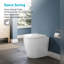 Belfry Bathroom Lappin 1.59L LPF Round Back To Wall Toilets (Seat Not Included)