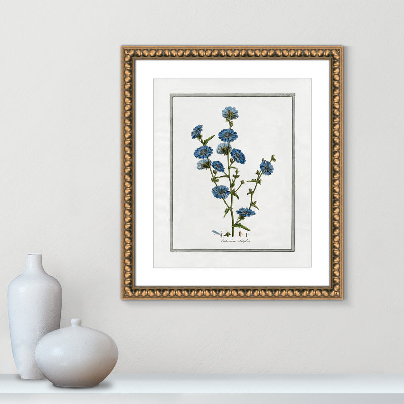 Colombe Soft Botanical I - Art encadré avec fond perdu, Cadre en perle d'or, L 17 po x H 20 po