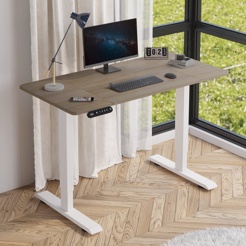 Fanchon 47.24'' Height Adjustable Standing Desk, Oak/White
