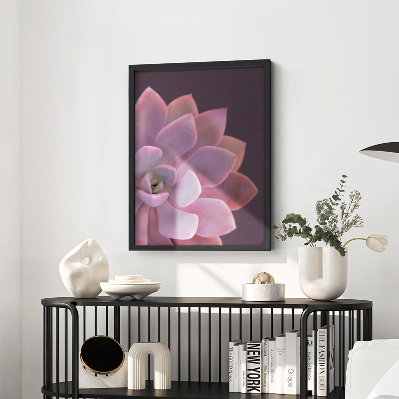 Gros plan, pastel, plante grasse, gros plan, Noir, H 14 po x l 11 po