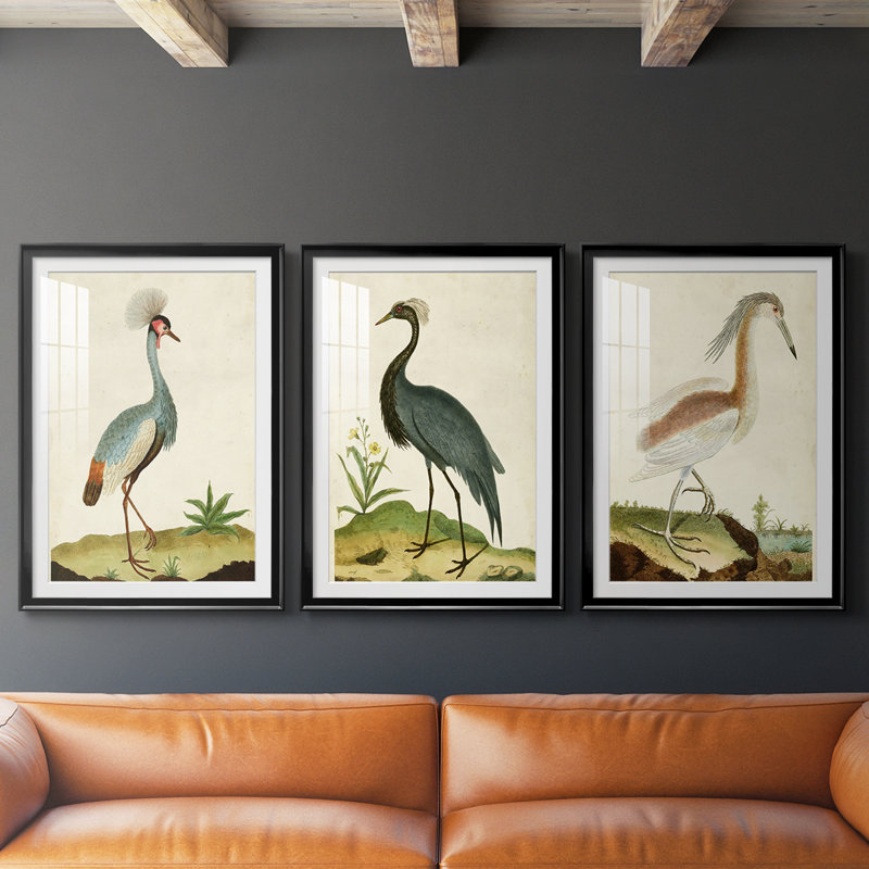 Heron Portrait I - Impression personnalisée de qualité supérieure avec passe-partout - 3 pièces, H 15 po x l 19 po, Noir