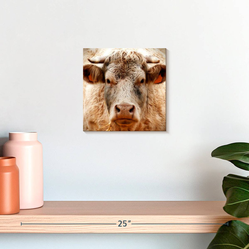 Brampt Mighty Bull, 10" H x 10" W