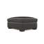 Horatio Ottoman-2055049510-2063214118