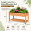 Raised Garden Bed-488513565