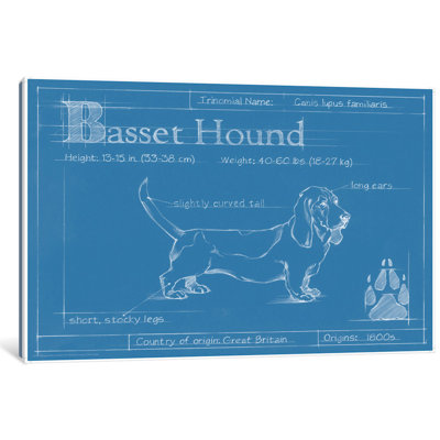 " Blueprint Of A Basset Hound " by Ethan Harper