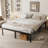 Lutherville 18'' Black Metal Platform Bed Frame With Steel Slat Support, No Box Spring Needed-953016076-989144609