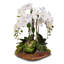 Real Touch Silk Orchid Faux Floral Arrangement