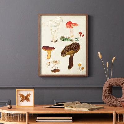Reproduction encadrée de champignon Mushroom Species