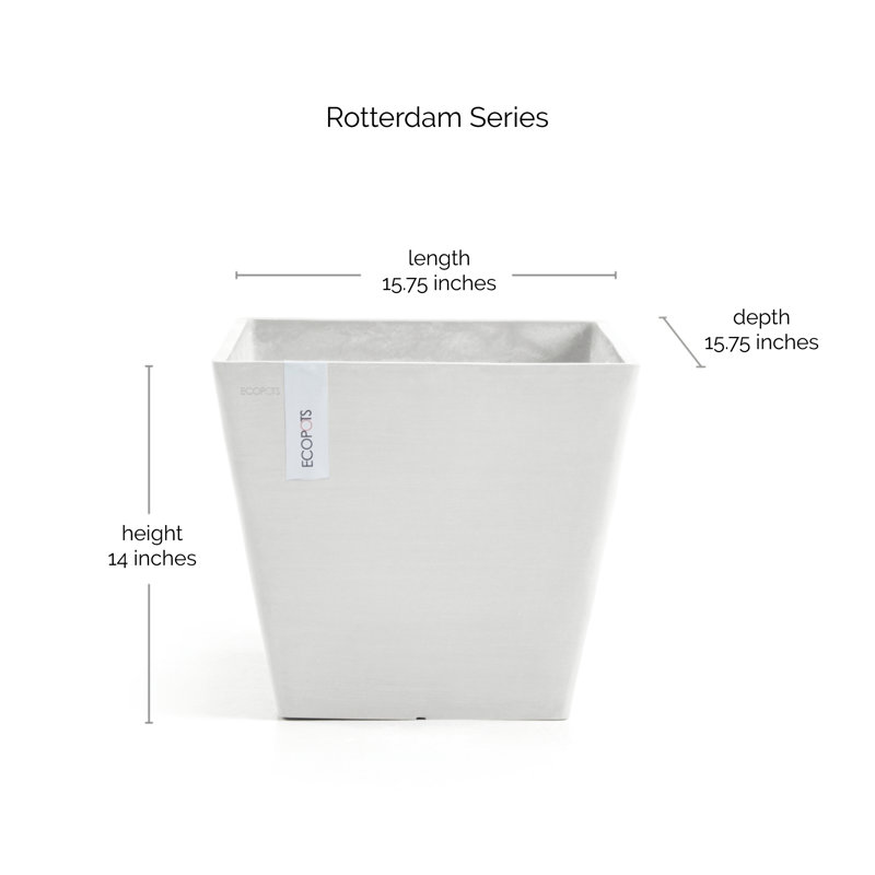 Brookelynne Plastic Indoor / Outdoor Pot Planter