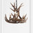 Rohrbach 18" W 3-Light Antler Tiered Chandelier-1474163819-1427735844
