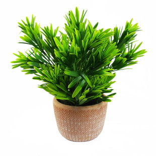 22cm Faux Plant in Terracotta Planter