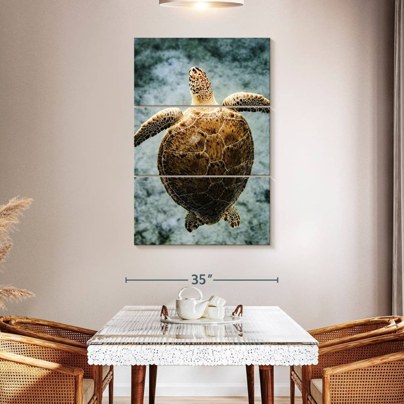 Brampt Virgin Islands Turtle, 50" H x 32" W