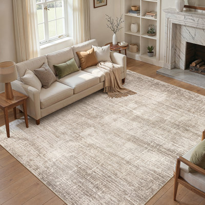 Abstract Washable Area Rug, Non-Slip Low-Pile Carpet for Living Room Bedroom Bedroom