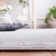 Chantae Valencia Performance Oriental Rug