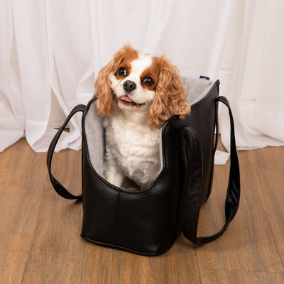 Collapsible Pet Carrier