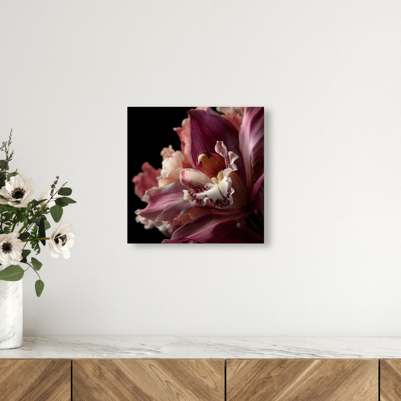 Velvet Labellum Print by Oliver Gal, 12"H x 12"W, Gallery Wrapped