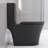 Matte Black Toilet With Dual Flush, 1.1/1.6 , Space Elongated Design Bathroom In Black, Flush Efficient Water Usage-121682925