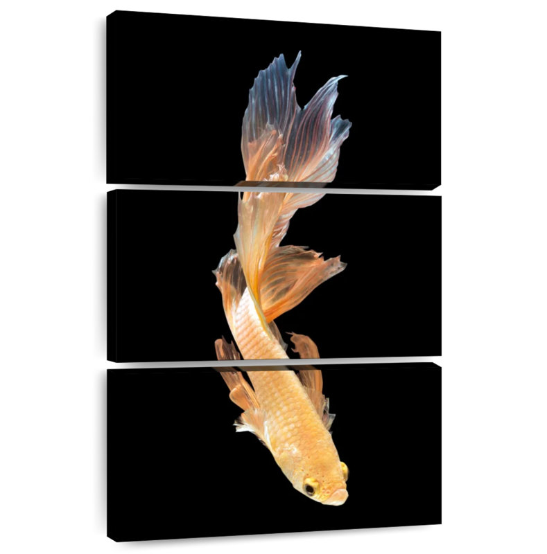 Brampt Betta Fish Dive, 65" H x 42" W