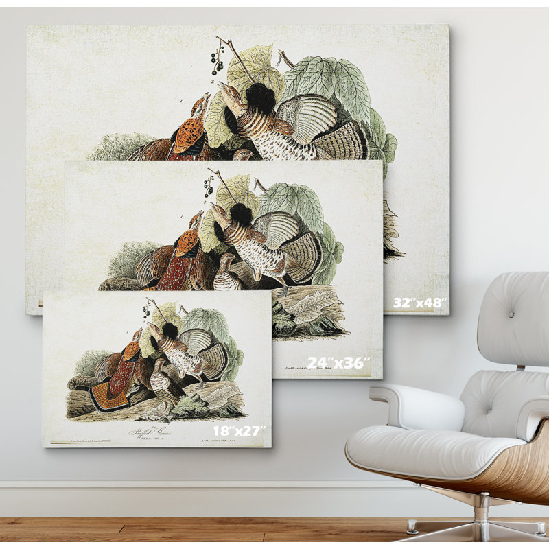 « volière drawing v », impression, H 18 po x l 27 po x P 1,5 po, Pas de tapis, Toile tendue