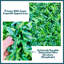 Grass Fence Privacy Screen-66082113