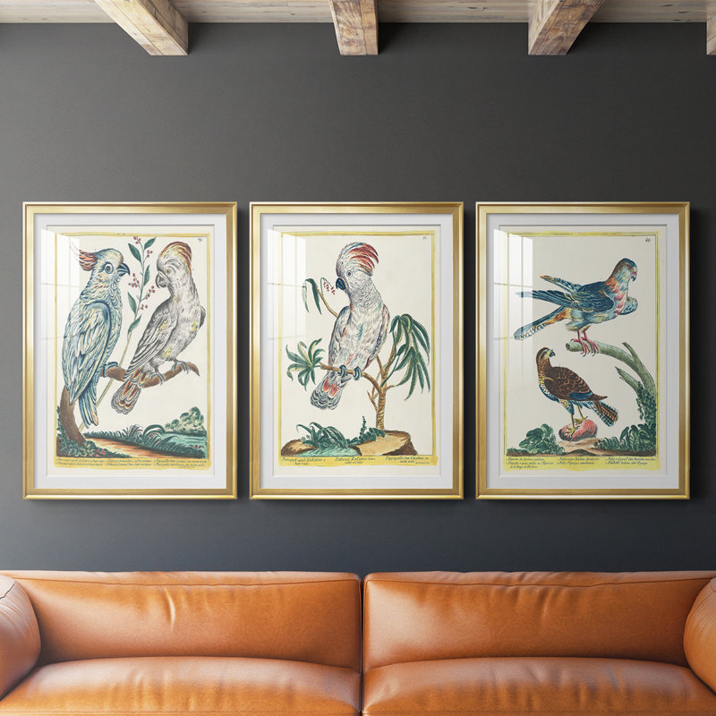 «Pastel Birds I», reproduction encadrée de qualité supérieure - prête à être accrochée, Cadre doré