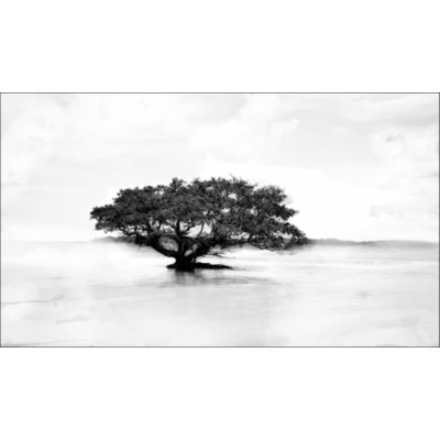 Border Print by Mitchell Bloch