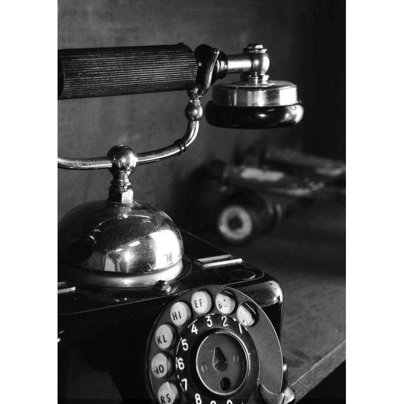" Black And White Telephone ", 48" H x 32" W