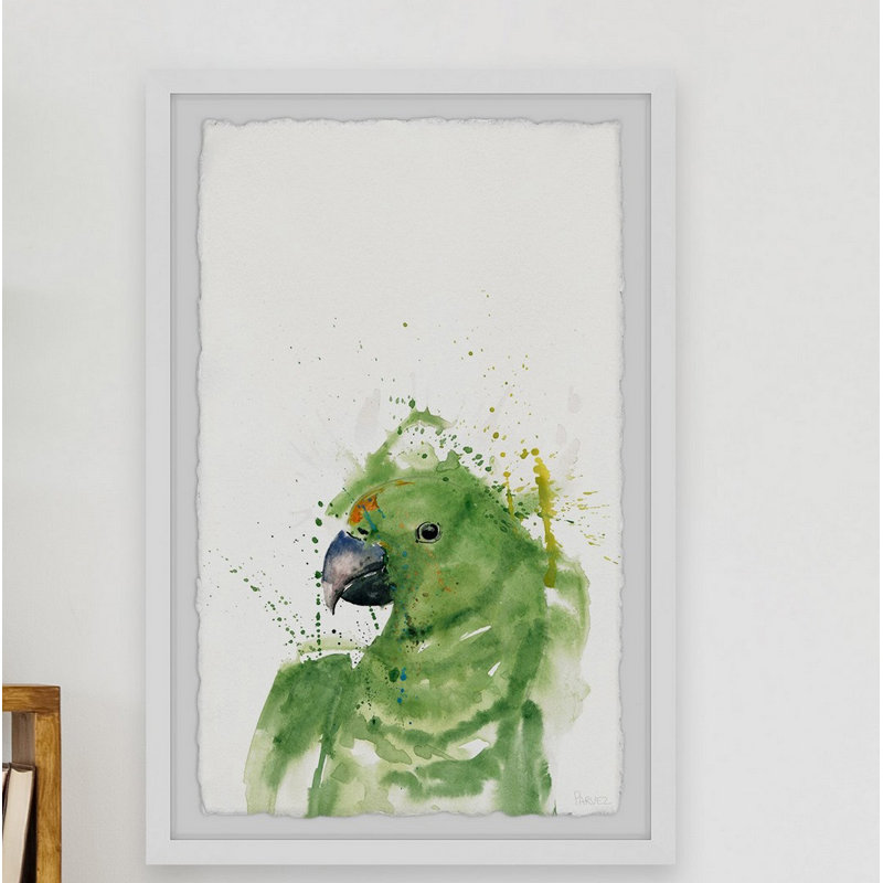 «Green Parrot», reproduction encadrée, H 30 po x l 20 po x P 1,5 po