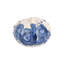 Petite citrouille bleue