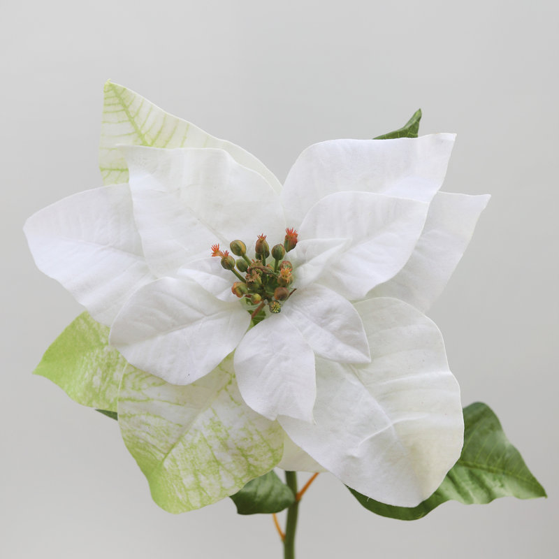 Poinsettia Faux Floral, White