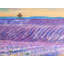 Napperon Contemporary Polyester