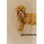 Support mural pour chiens