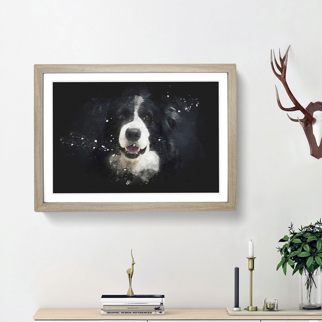Portrait Of A Border Collie Dog - Single Picture Frame Print on MDF