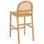 Laylie Rattan And Leather Counter Stool-1908221452