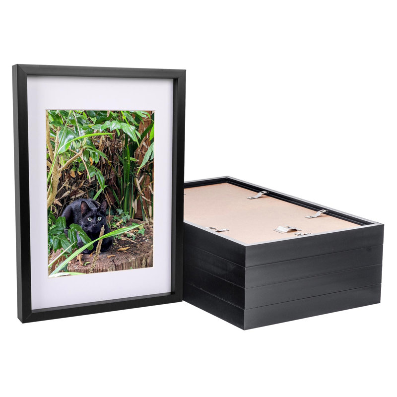12" x 17" Plastic Box Frame, Black
