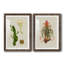 Elegant Tropicals III - impression d'art graphique-752906390-752906392-753135773